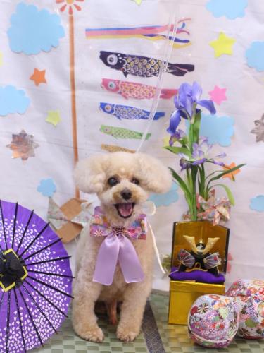 20240514クッキーくん